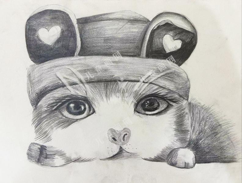 小猫