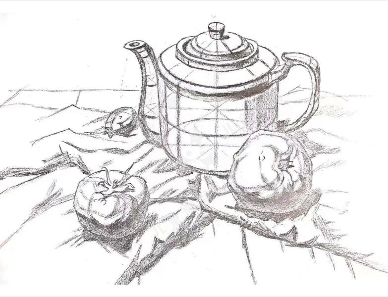 静物素描