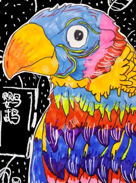 五彩斑斓的鹦鹉