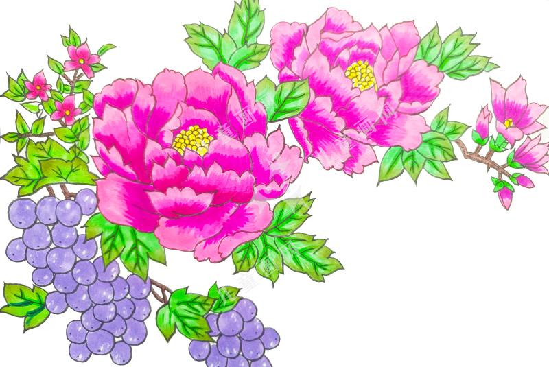 牡丹