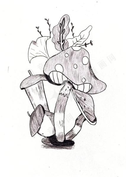 蘑菇