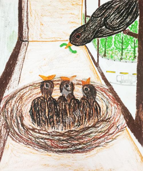 窗外的“争抢”