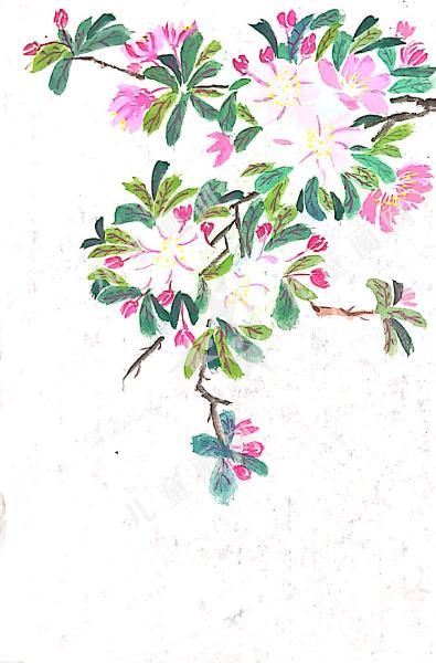 国画花
