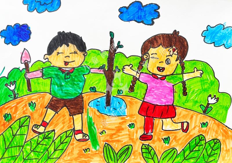 植树造林，从我做起