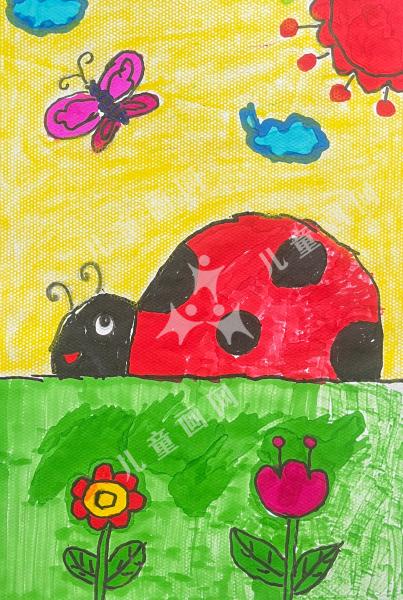 可爱的七星瓢虫