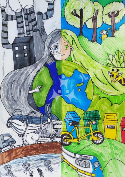 关爱自然，创造未来