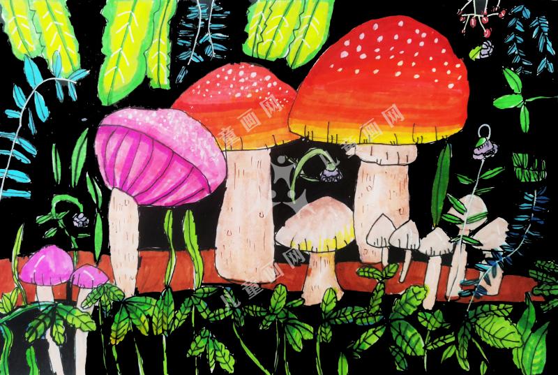 蘑菇森林