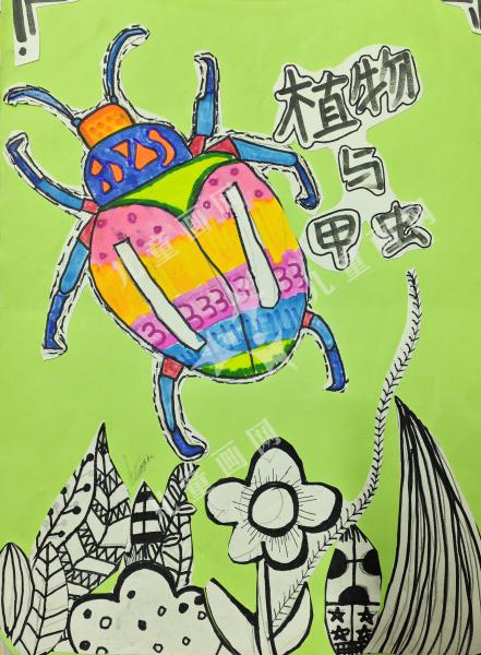 爱护自然