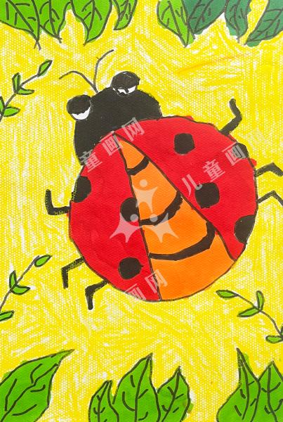 可爱的七星瓢虫