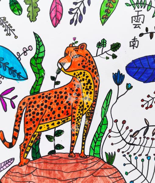 保护自然，和谐共生