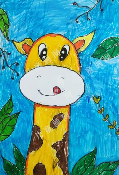 吃树叶的长颈鹿