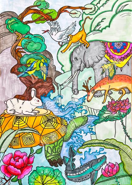 原始森林，和谐共生