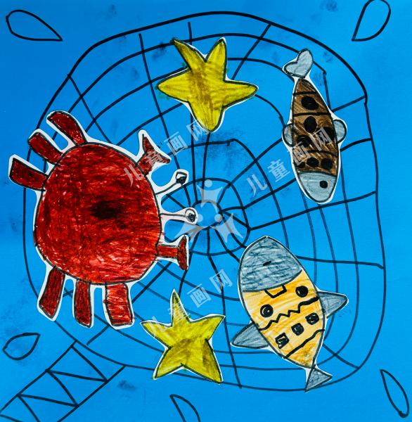 不捕捉海洋动物