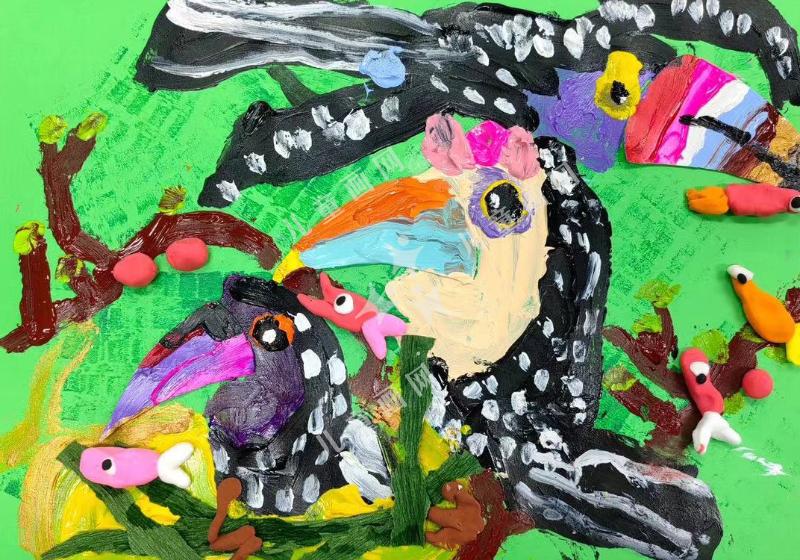 巨嘴鸟有彩色的嘴巴