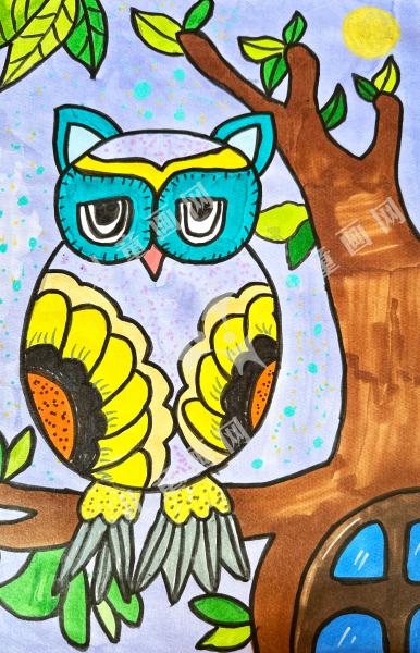 迷糊的猫头鹰