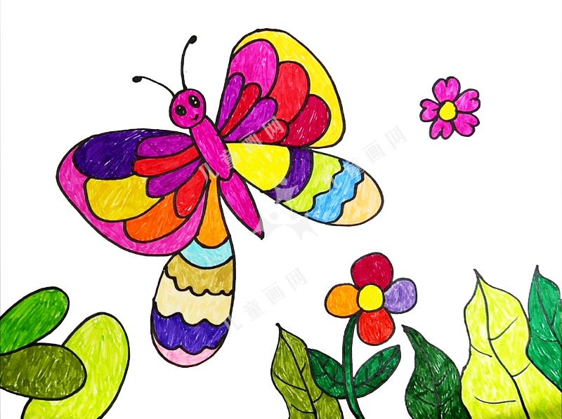 寻找春天的蝴蝶