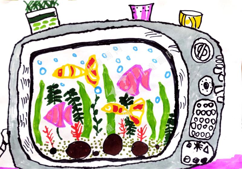 电视里的海底世界