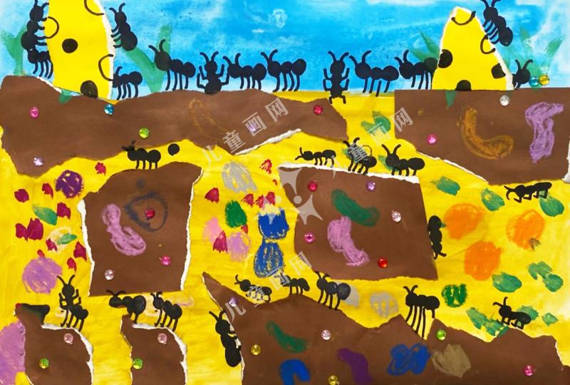 蚂蚁的地下王国