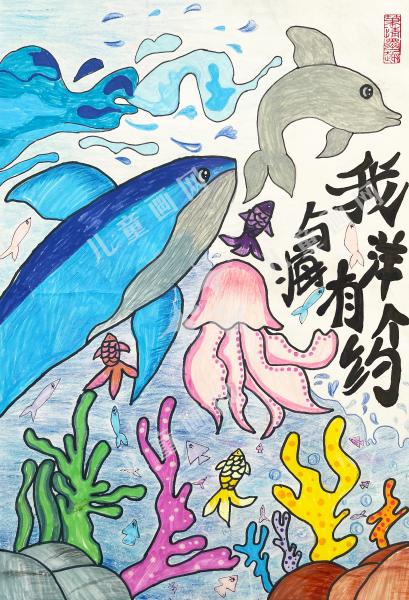 我与海洋有个约