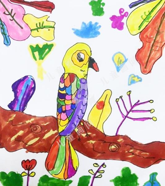 彩色鹦鹉