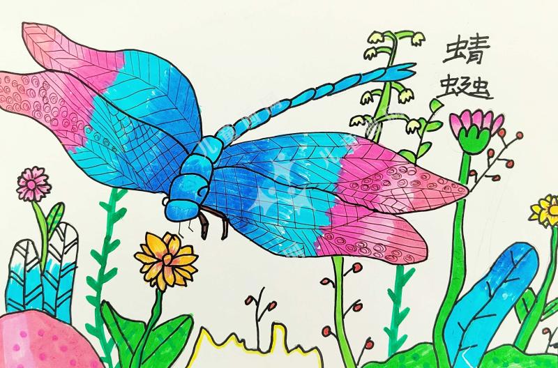 五彩蜻蜓