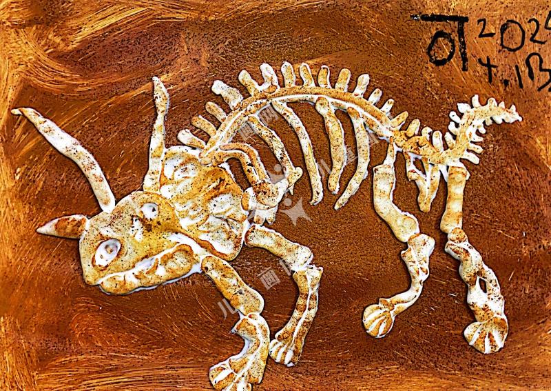 三角龙恐龙化石