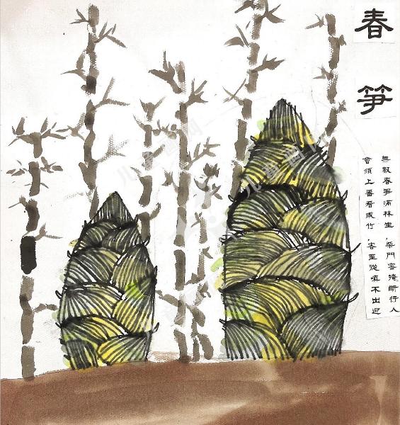 春笋