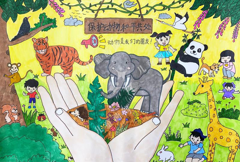 保护动物和平共处