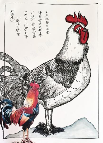 画鸡