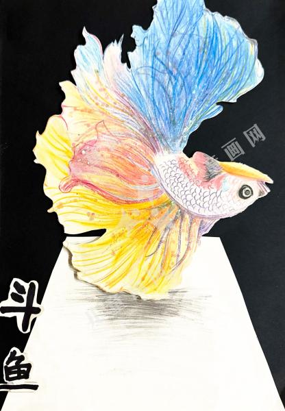 斗鱼