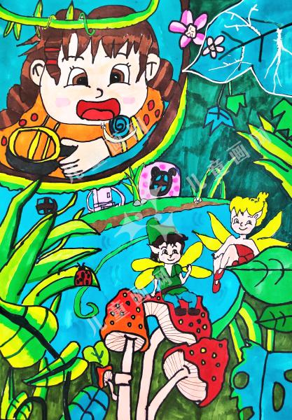 精灵飞舞的森林