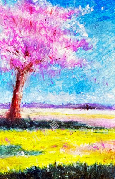 风偷走了我的樱花瓣