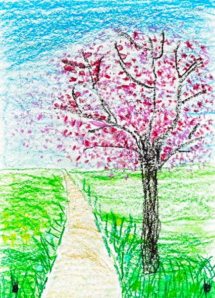 小路的绿色选择题