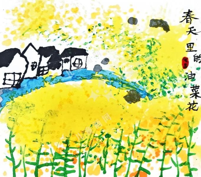 春天的油菜花