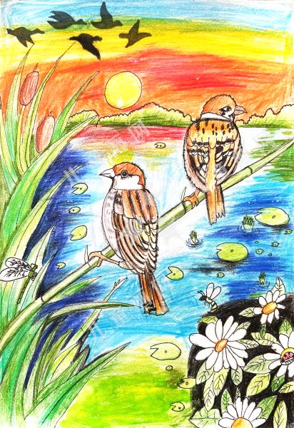 湖畔的自然回响