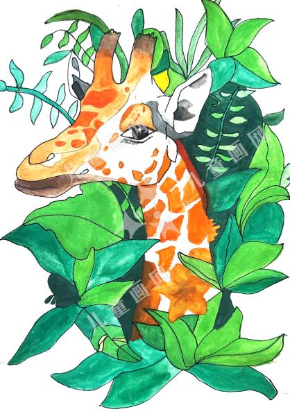 鹿伴绿野向未来