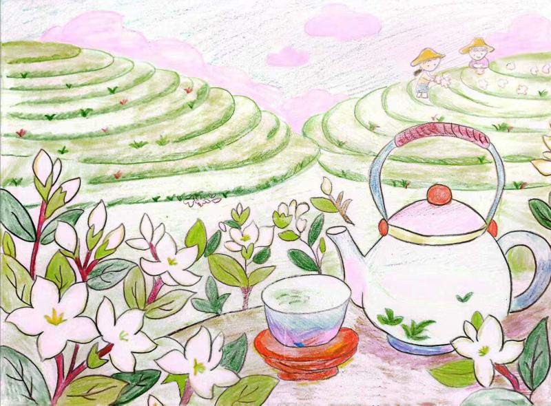 茉莉花香绕梯田