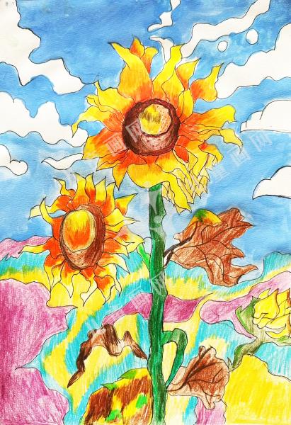 葵间的自然生机