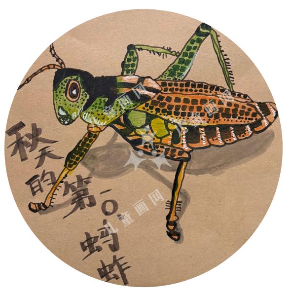 秋天里的第一只蚂蚱