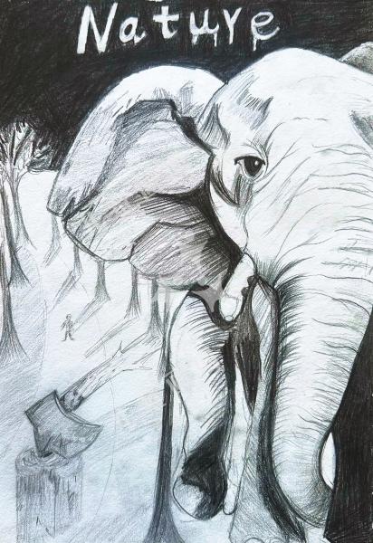 象伴自然向新生