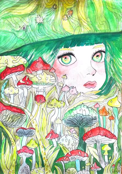 蘑菇丛中的自然絮语