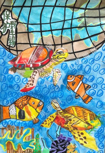 深海生灵的未来守护