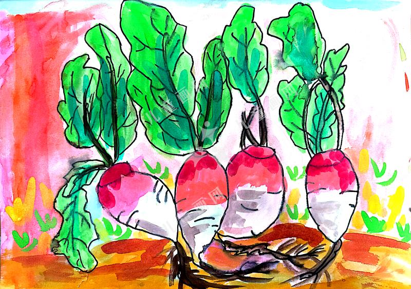 房子里的小萝卜